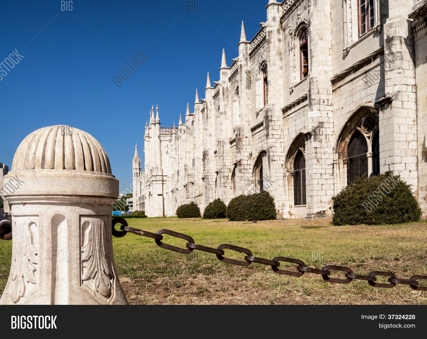 Image Preview