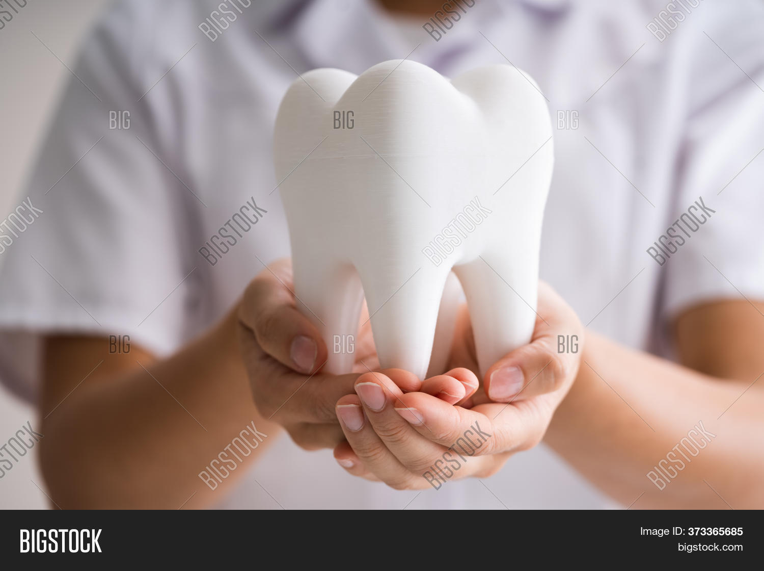 Dentist Woman Doing Image & Photo (Free Trial) Bigstock