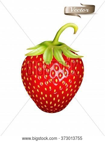 Red Strawbery. Realistic 3d Isolated Vector Illustrator