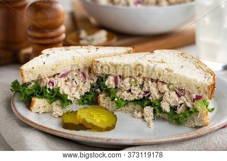 Tuna Fish Salad And Lettuce Sandwich On Multiseed Bread With Sliced Pickles On A White Plate