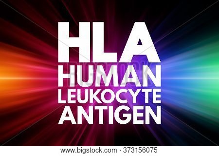 Hla - Human Leukocyte Antigen Acronym, Medical Concept Background