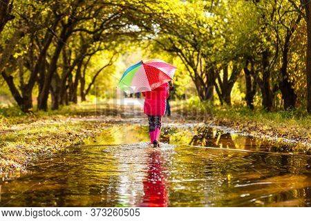 Adorable Toddler Girl With Colorful Umbrella Outdoors At Autumn Rainy Day