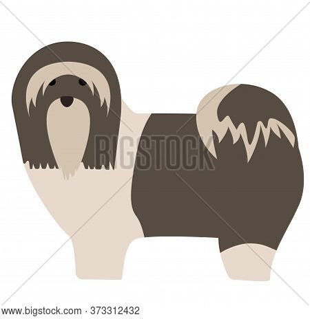 Lhasa Apso , Illustration On White Background Flat Style