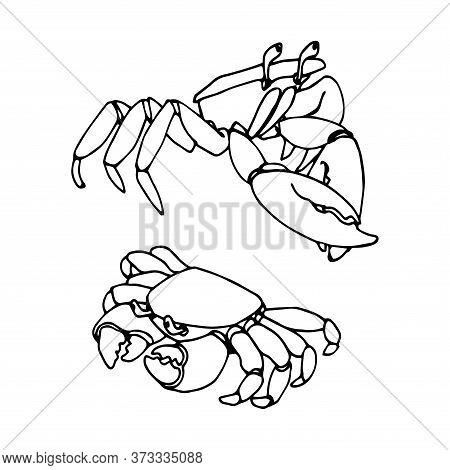 Crab2.eps