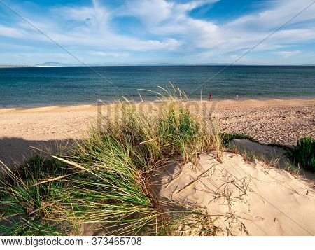 Dune With Beachgrass In Tarifa, Costa De La Luz, Spain, Europe
