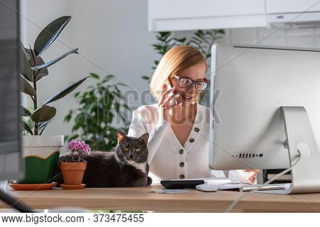 Cat Talking Images Illustrations Vectors Free Bigstock
