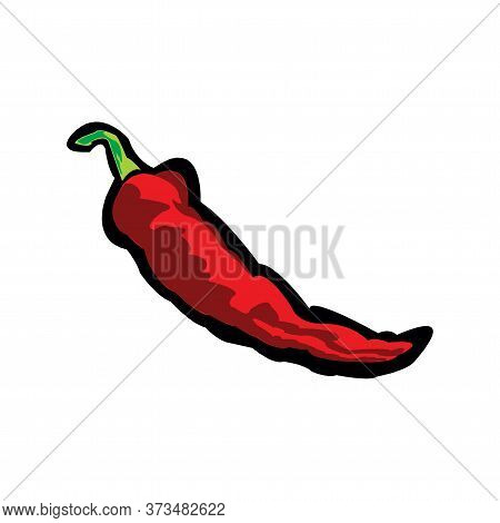 Hot Pepper Vector Illustration. Food Ingredient. Illustration Isolated On A White Background.