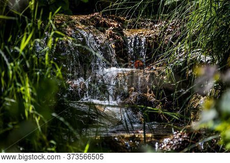 Beautiful Waterfall Of A Mountain Stream With Lush Greenery At Lake Ledro In Trento, Italy