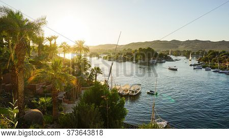 Nile River Bank In Egypt Sunset Sky And Palm Tree With Sand Dessert Slope In The Back