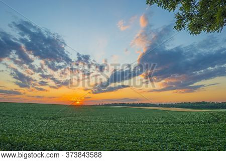 Grassy Fields And Vegetables In Green Rolling Hills Below A Blue Sky In The Light Of Sunset In Summe