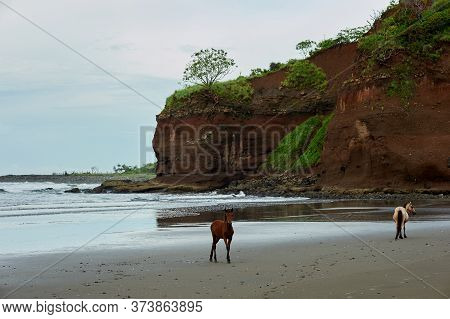Playa El Cuco Is A Quintessential El Salvador Beach Town. Its Dark Sands Are Lined With Vendor Huts 