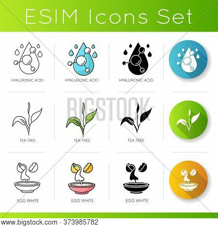 Cosmetic Ingredient Icons Set. Hyaluronic Acid. Tea Tree. Egg Whites. Hydrating Treatment. Korean Be