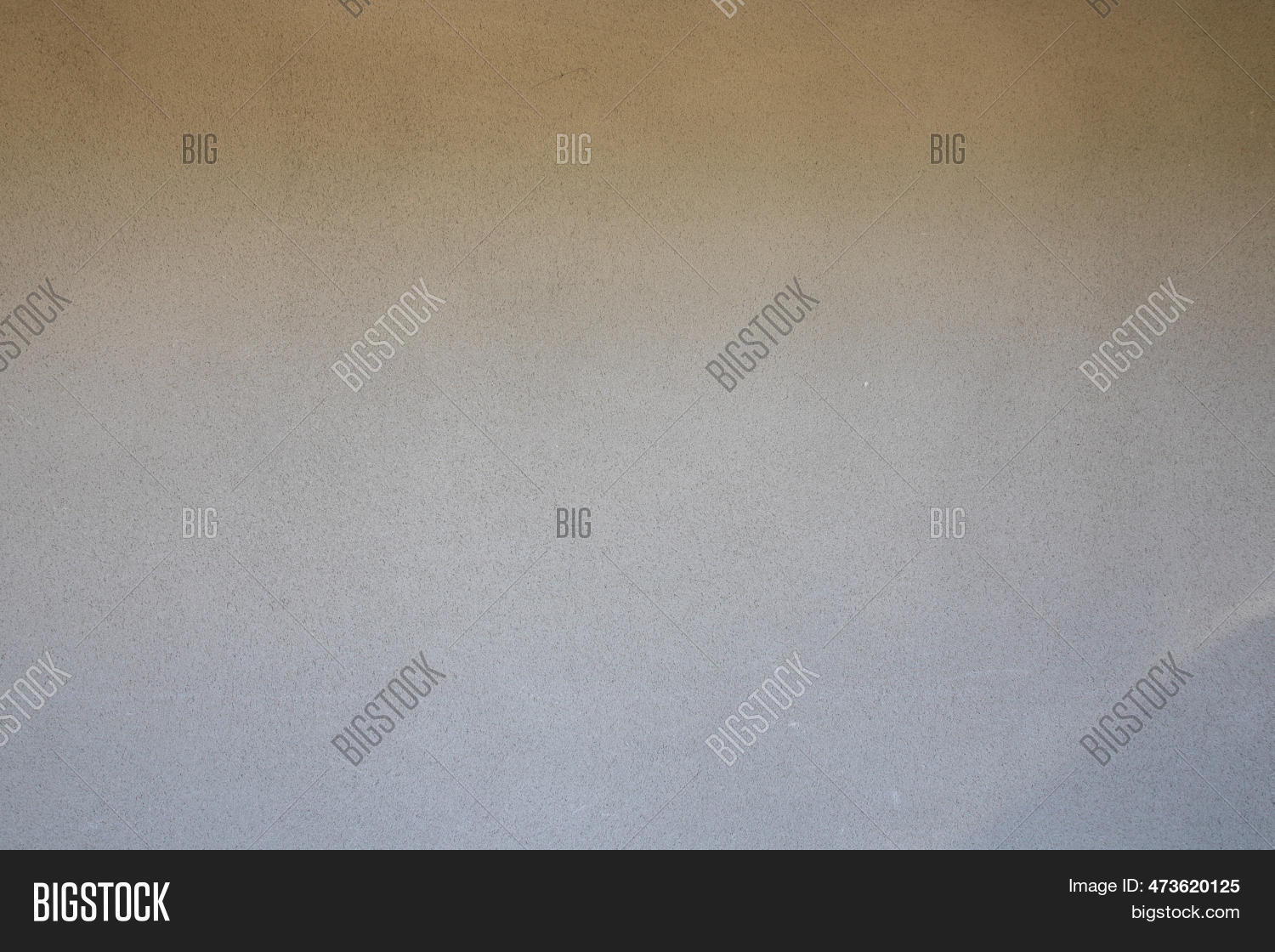 Background Grey Light Image & Photo (Free Trial) | Bigstock
