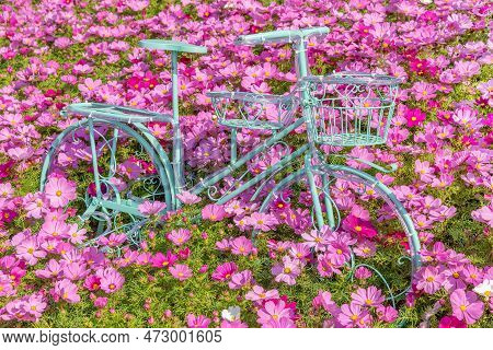 Bicycle Shaped Deoration In Colorful Flower Garden