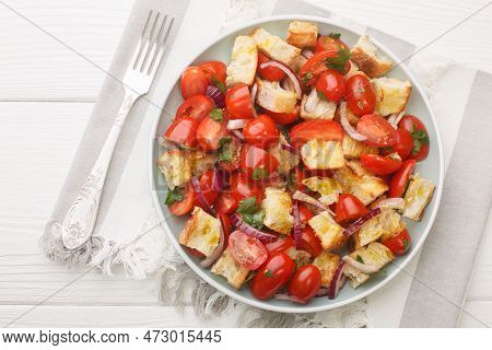 Vegetarian Salad Of Cherry Tomatoes, Stale Bread, Onion, Olive Oil And Tomato Juice Close-up In A Pl