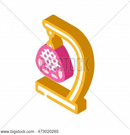 Hammock Chair Living Room Isometric Icon Vector. Hammock Chair Living Room Sign. Isolated Symbol Ill