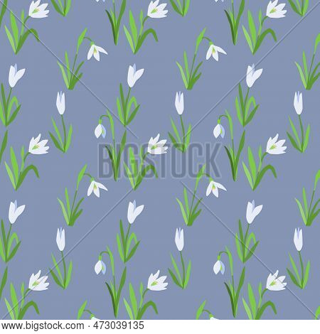 Botanical Seamless Pattern Of Snowdrops On Blue Bacground