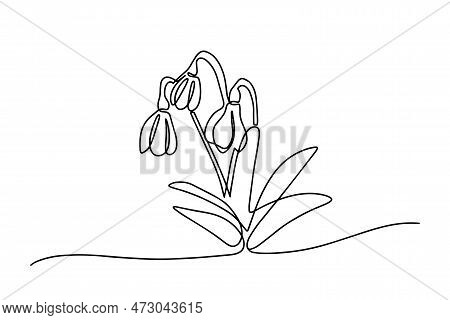 One Line Snowdrop Isolated On White Background. Vector Illustration Continuous One Line Of White Sno