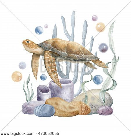 Watercolor Illustration Of Sea Turtle, Corals And Algae. Underwater Life. Colorful Hand Drawn Drawin