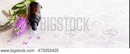 Essential Lavender Oil In Glass Bottle And Lavender Flower On Light Concrete Background With Copy Sp