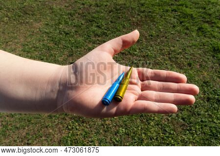 Yellow And Blue Rifle Cartridge In Hand Against The Background Of Green Grass (national Symbols Of U