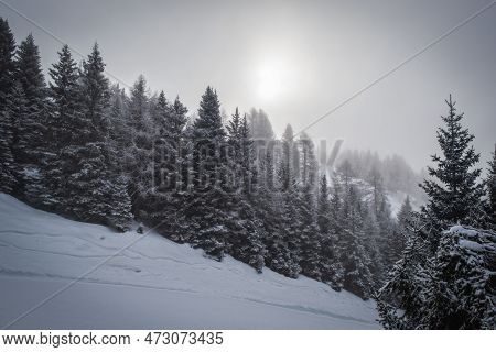 Skiing In Italy, Dolomites, Madonna Di Campiglio, Pinzolo. Cloudy Winter Day In January 2023