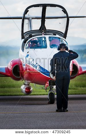 Snowbirds 경례