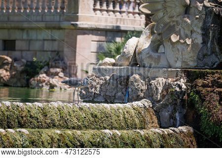 Detail Of The Fountain Designed By Josep Fontserè Inside The Parc De La Ciutadella, Citadel Park, In