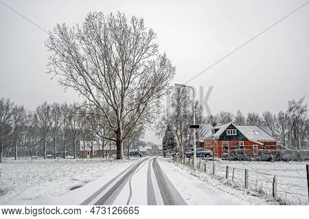 Winter Landscape At The Village Koudum In Friesland The Netherlands