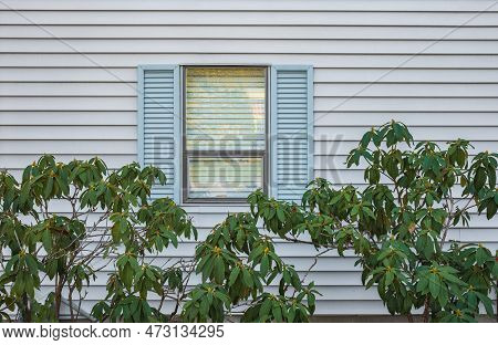 Modern Residential Window With Shutters And Trees In A Garden. Glass Window Frame House Exterior On 