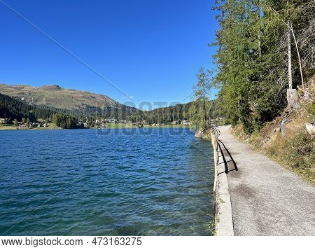 Sports And Recreational Trail Along The Alpine Lake Davos Or Loop Around Mountain Lake Davosersee, D