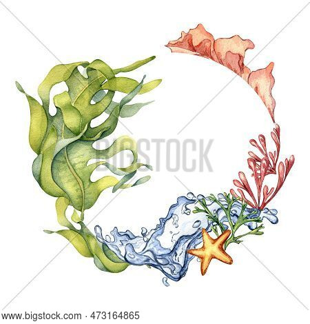 Frame Of Colorful Sea Plants And Water Splash Watercolor Illustration Isolated On White.