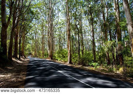 Caves Road - Margaret River - Western Australia