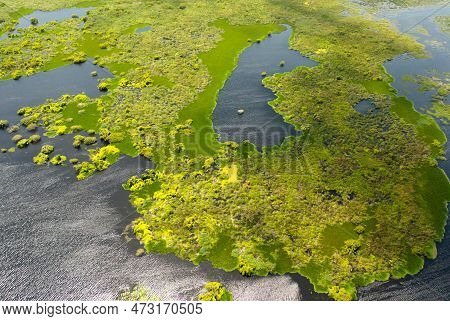 Top View Of Lake Or Swamp With Tropical Vegetation And Aquatic Plants. Kumana National Park, Sri Lan