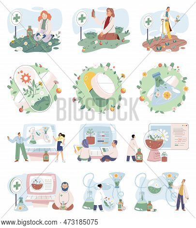 Doctor Checking Medicinal Herbs. Natural Herbal Medicine Selection. Scientist With Natural Drug Rese