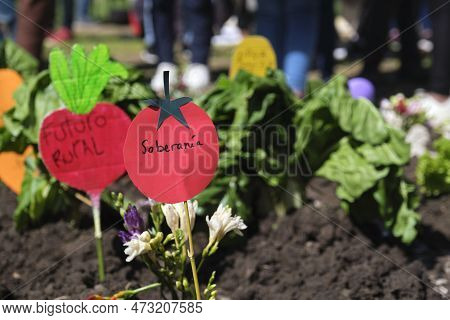 Buenos Aires, Argentina, Sept 21, 2021: Detail Of Protest Of The Utt, Land Workers Union, Demanding 