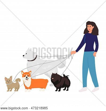 Dog Sitter Composition With Outdoor Landscape And Doodle Male Character Walking Three Dogs With City