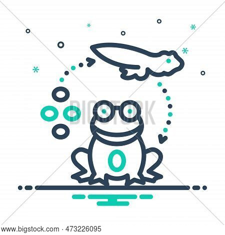 Mix Icon For Reproduced Beget Tadpole Egg Life-cycle Froglet Transformation Amphibian Process Larva
