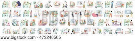 Doctor Checking Medicinal Herbs. Natural Herbal Medicine Selection. Scientist With Natural Drug Rese