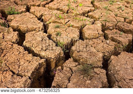 Dry And Cracked Ground With Sparse Vegetation