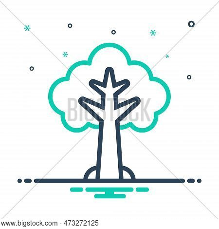 Mix Icon For Tree Plant Foliage Greenstuff Environment Nature Botany Branch Timber Forest Greenery