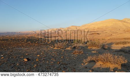 Negev Desert Landscape At Sunrise On The Bottom Of The Crater Makhtesh Gadol, In The South Of Israel