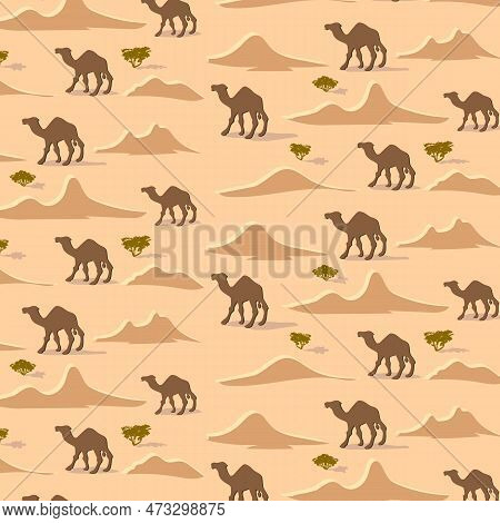 Two Camels Patterns Pattern Camels Desert Vector & Photo (Free Trial) | Bigstock