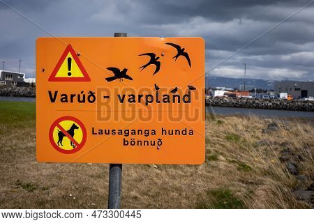 Hafnarfjordur, Iceland - July 17, 2021: No Dogs Running Free Allowed, Bird Conservation Area Signpos