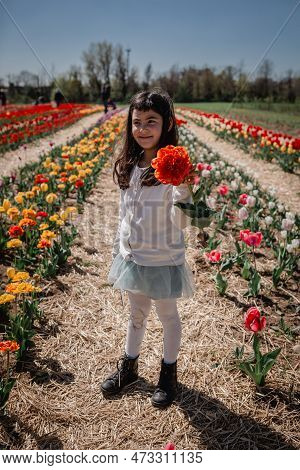 Girl In White Top Stands In Tulip Field Holding Big Orange Flower