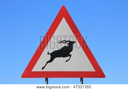 Kudu Antelope Road Warning Sign - Funny Background image from Africa