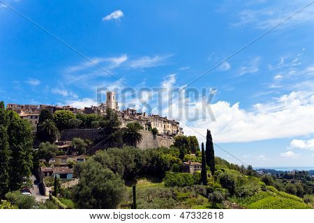 Cypress, St. Pul, Provence ile yalnız manzara