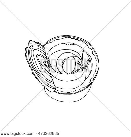 An Open Tin Can With Sprats. Vector Illustration Of Camping Food In The Style Of Doodles.
