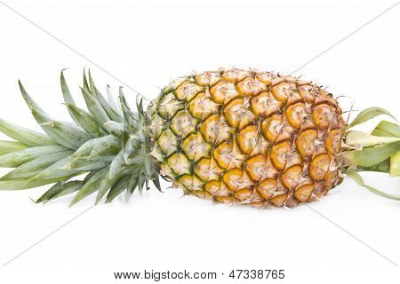 ripe pineapple isolated on white background.