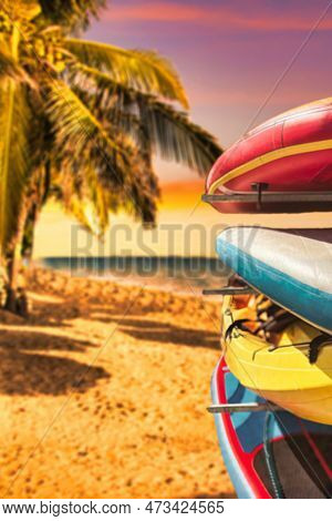 Surf Boards On Rack Tropical Beach With Palm Trees